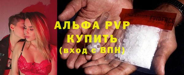 шишки Алексин