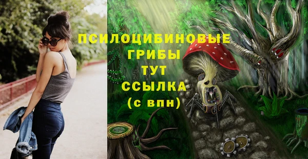 шишки Алексин