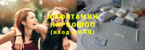 шишки Алексин