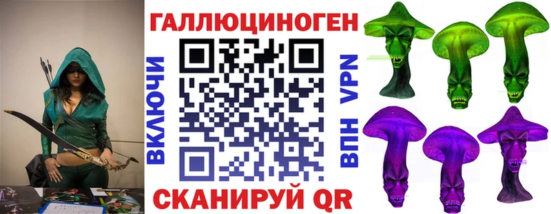 blacksprut как зайти  Железногорск-Илимский  Галлюциногенные грибы Psilocybine cubensis  как найти закладки 